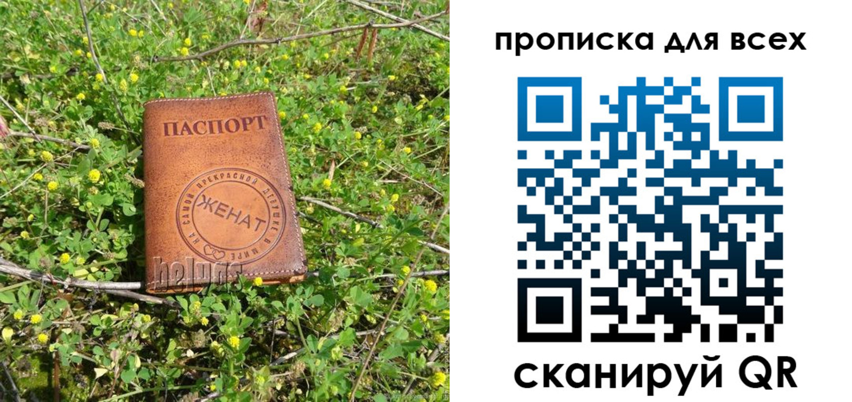 прописка поиск в Тарко-Сале